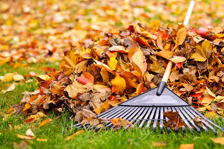 Seasonal yard clean up